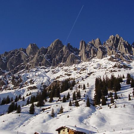 Mühlbach am Hochkönig Appartementhaus Hochkoenig 1- Birgkar מראה חיצוני תמונה