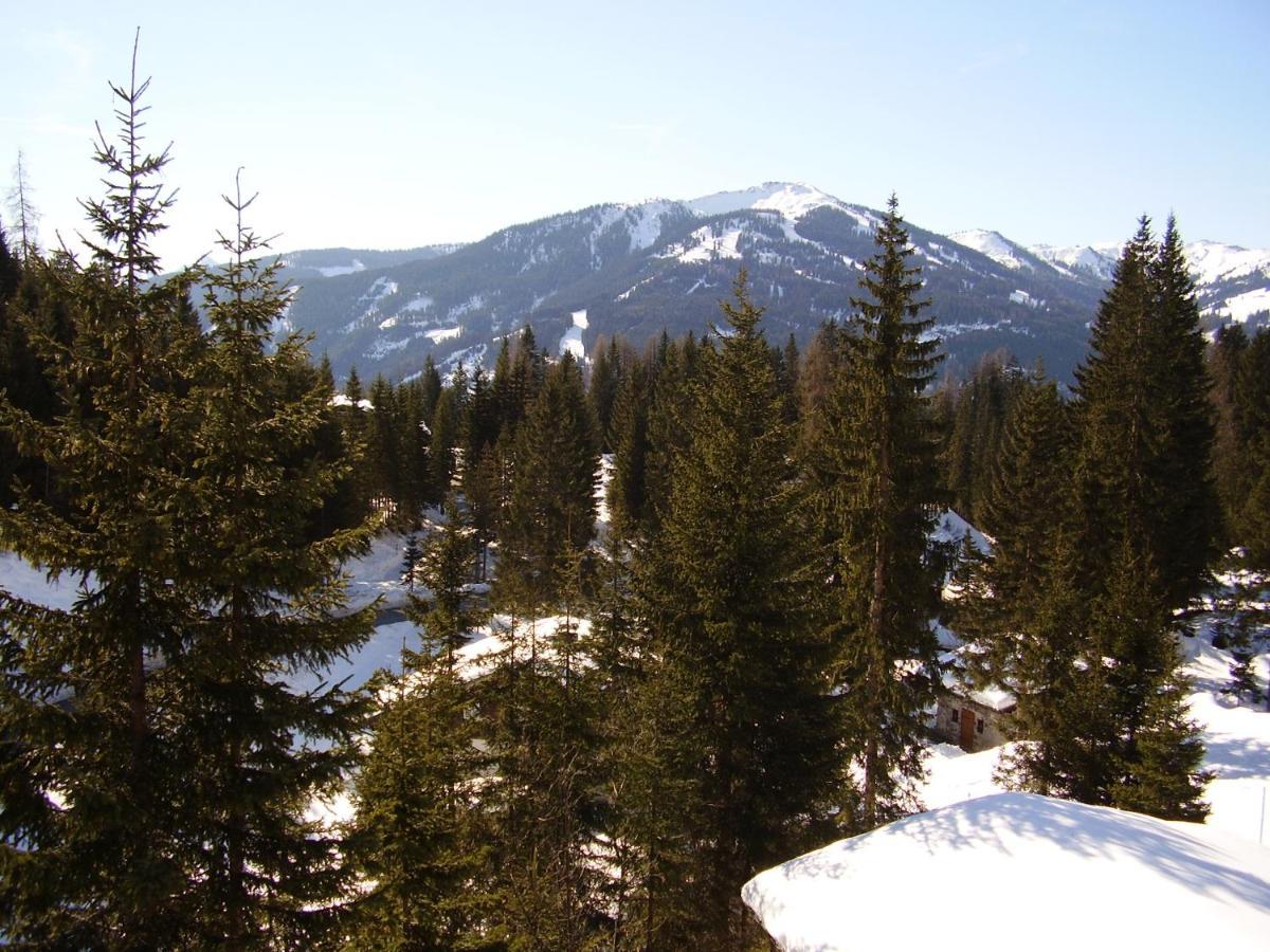 Mühlbach am Hochkönig Appartementhaus Hochkoenig 1- Birgkar מראה חיצוני תמונה
