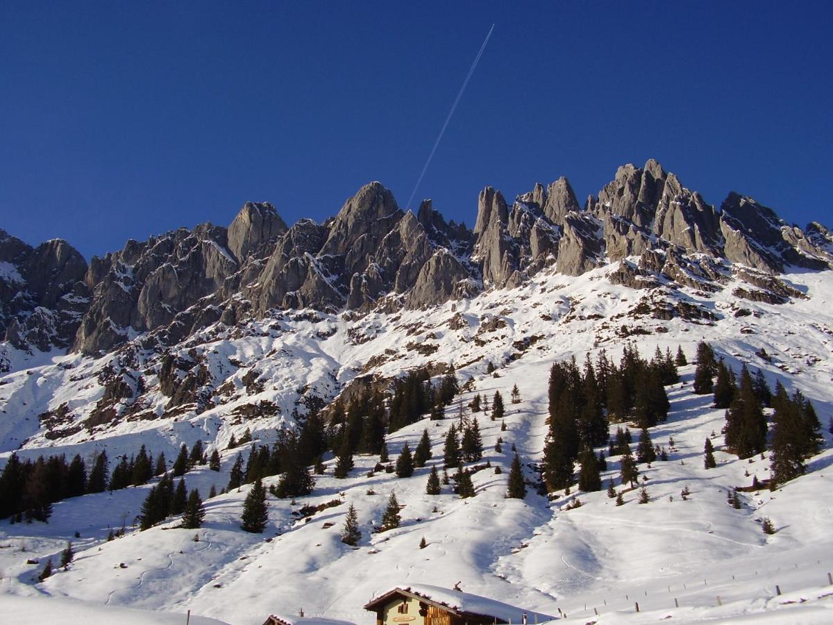 Mühlbach am Hochkönig Appartementhaus Hochkoenig 1- Birgkar מראה חיצוני תמונה